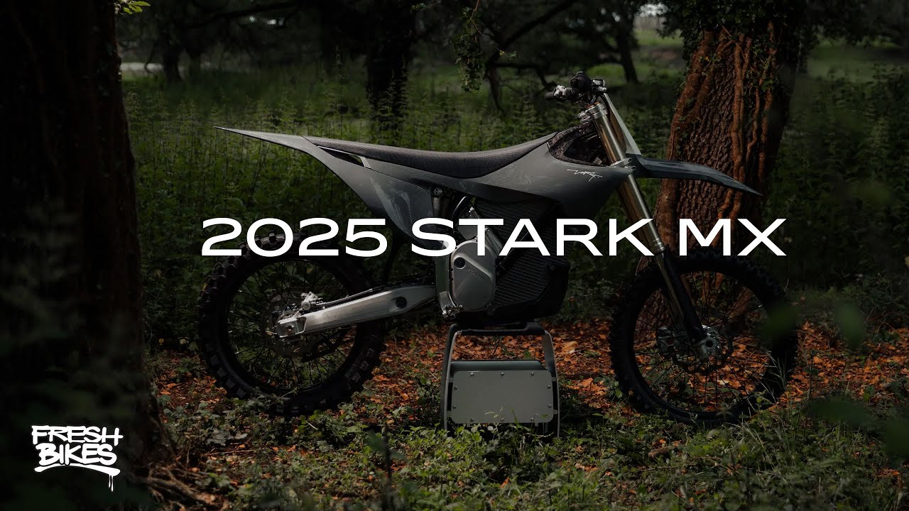 The Shawns Flowing on their Stark Futures - Black Moose GA